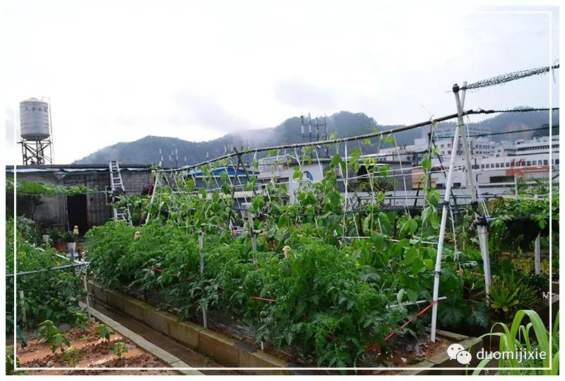 听说了吗，拼搏平台【中国】有限公司居然开始搞副业了？